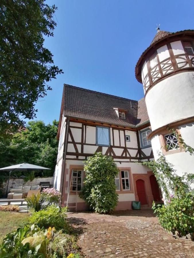 Maison Kobold Xvie Siecle Wissembourg Exterior photo