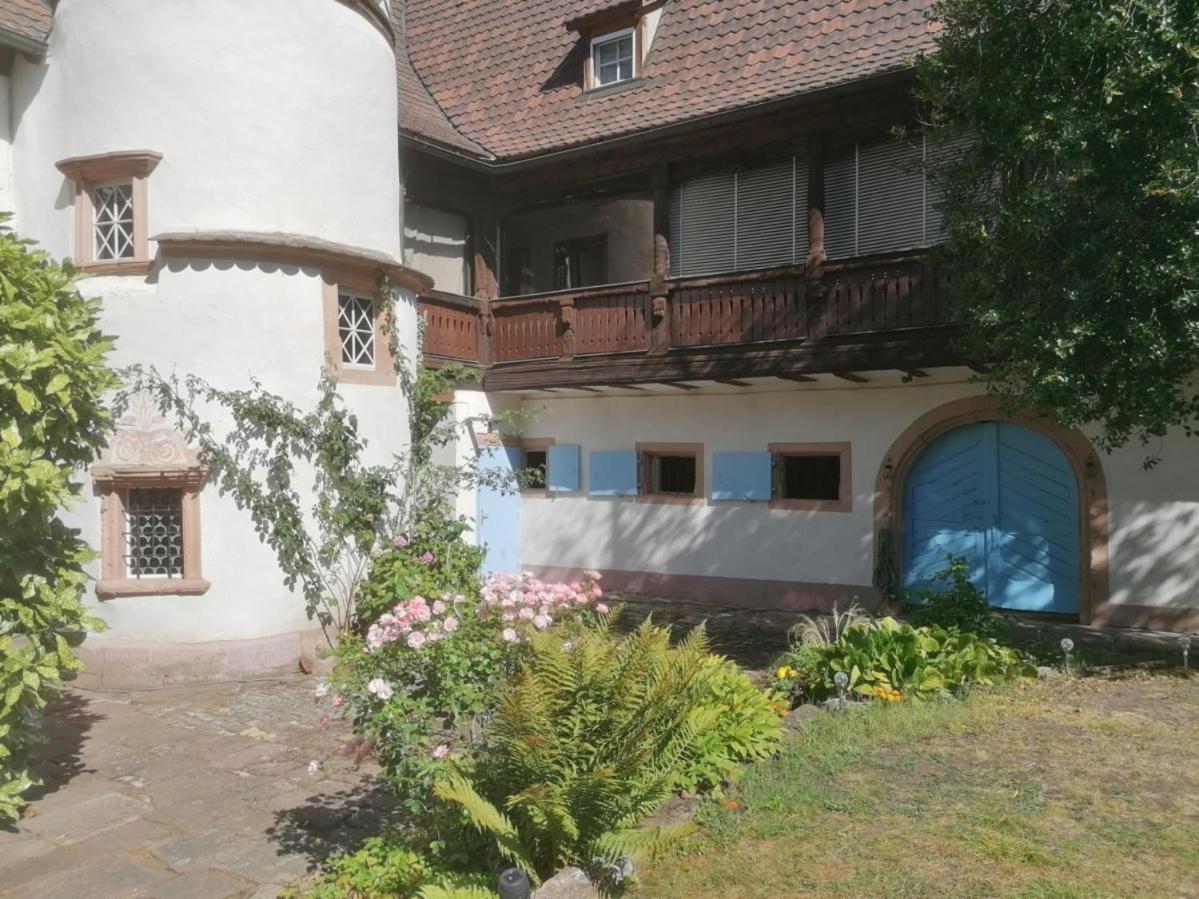 Maison Kobold Xvie Siecle Wissembourg Exterior photo