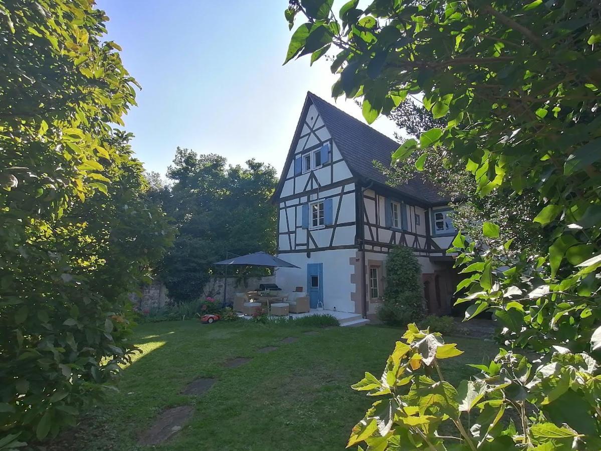 Maison Kobold Xvie Siecle Wissembourg Exterior photo