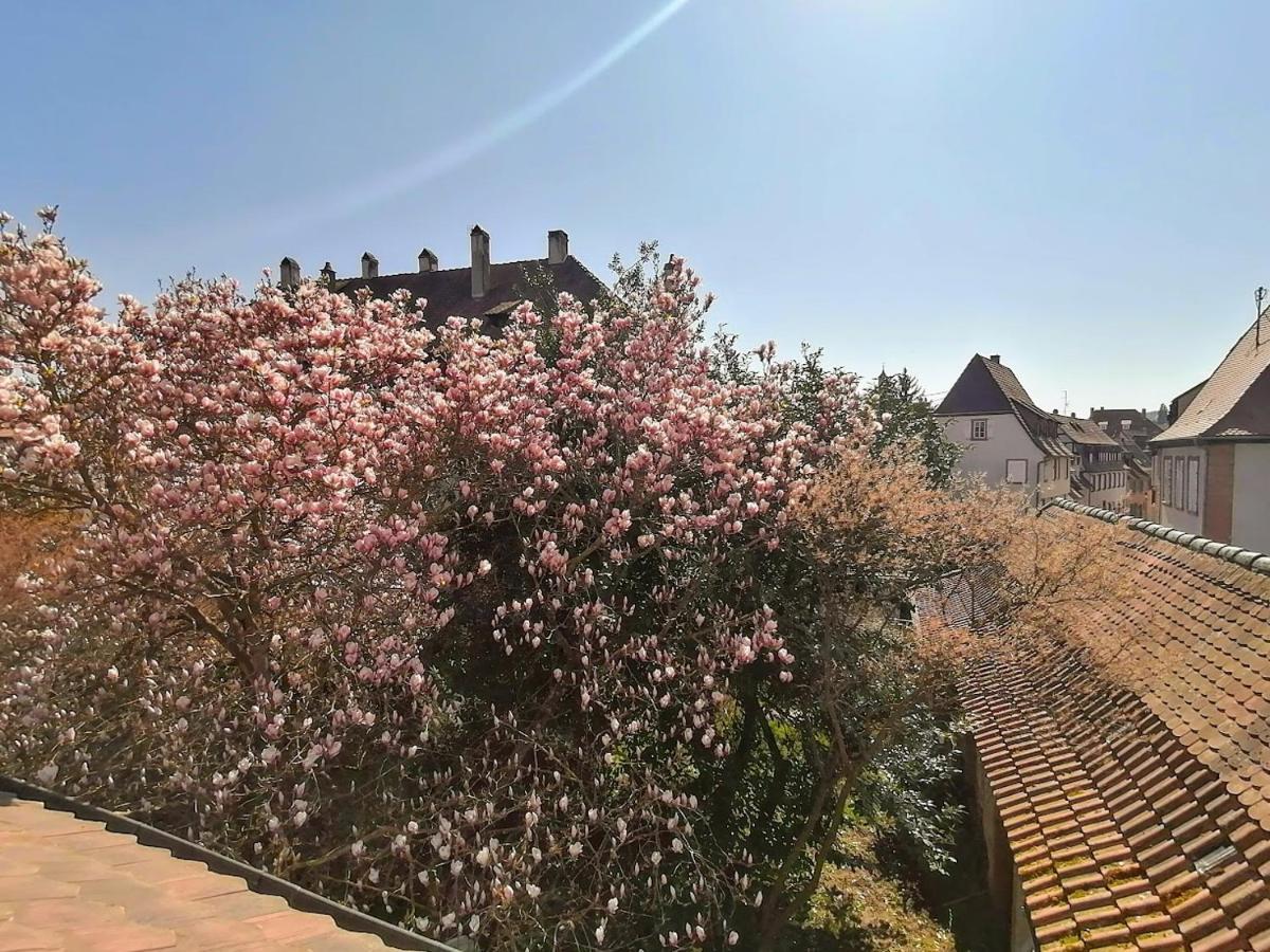 Maison Kobold Xvie Siecle Wissembourg Exterior photo